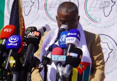 وزير الصحة الموزمبيقي يجدد تضامن بلاده مع كفاح الشعب