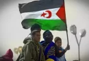 نواب وسياسيون يطالبون بإنصاف الشعب الصحراوي بما يضمن حقه في تقرير المصير