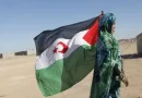 حضور مكثف للقضية الصحراوية في عدة فعاليات دولية