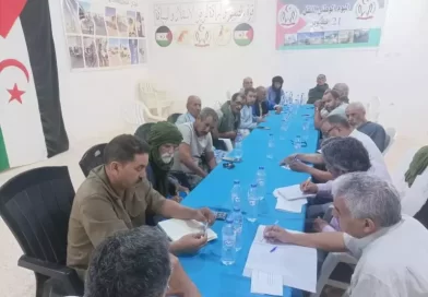 الوزير الأول في زيارة عمل الى وزارة النقل والطاقة