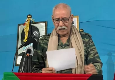 رئيس الجمهورية: “الأمناء والمحافظون يشكلون محرك الفعل الوطني”