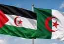 رئيس المجلس الوطني يبعث برقيتي تعزية إلى رئيسي غرفتي البرلمان الجزائري إثر فاجعة بومرداس