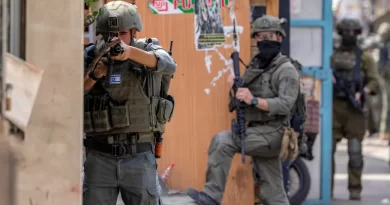 الضفة الغربية.. الاحتلال يعتقل 12 فلسطينيا ويقتلع عشرات أشجار الزيتون