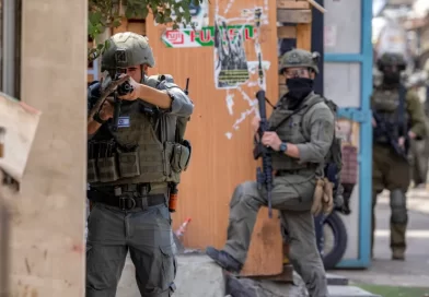 الضفة الغربية.. الاحتلال يعتقل 12 فلسطينيا ويقتلع عشرات أشجار الزيتون